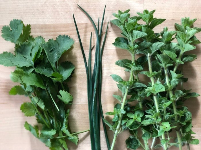 How to properly store fresh herbs