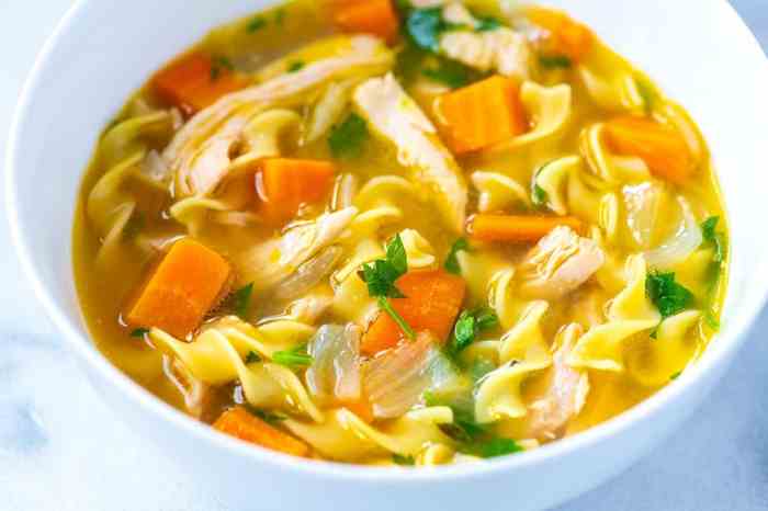 Homemade chicken noodle soup recipe