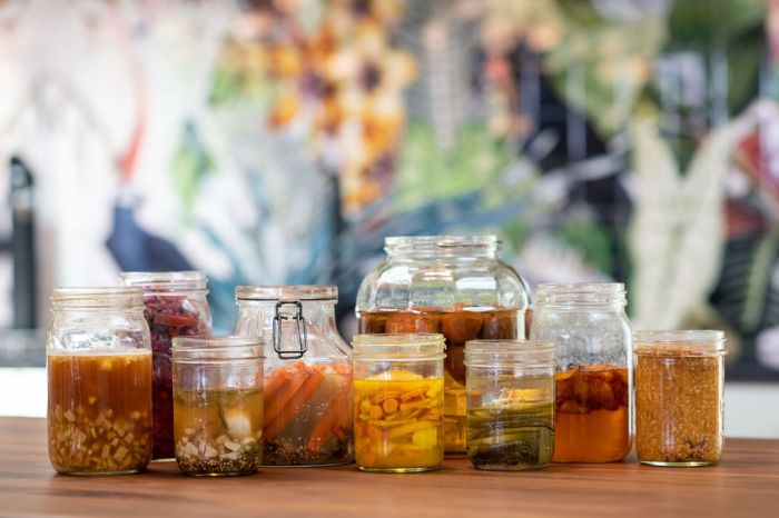 Exploring the world of fermented foods