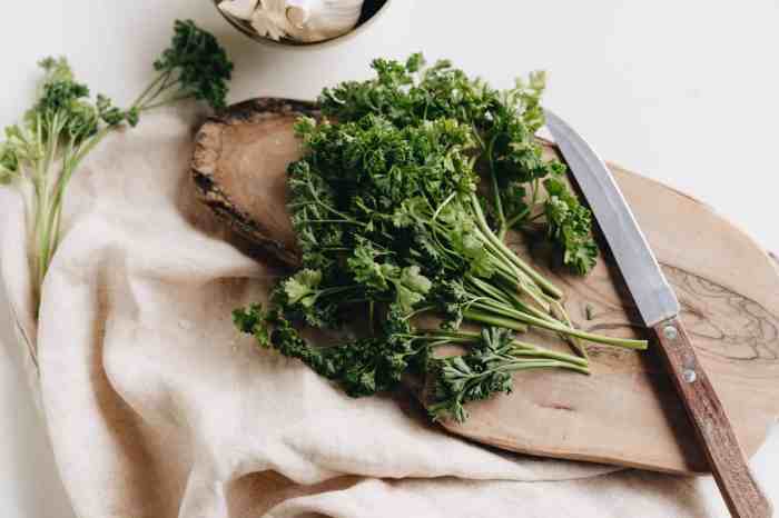 Fresh herbs store refrigerator